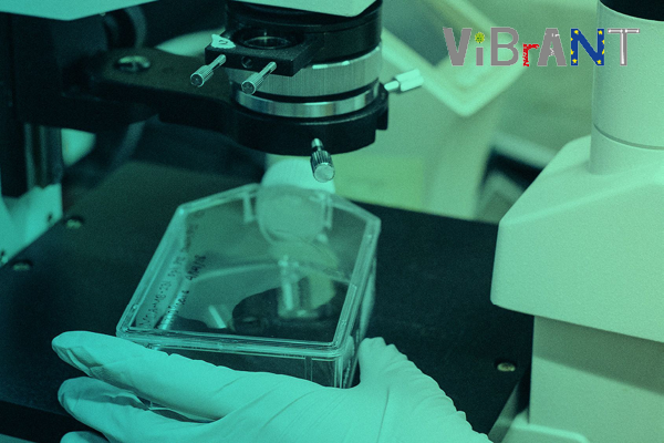 -ViBrANT2021: Scientists want to stop viral and bacterial infections